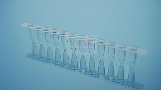 0.2ml透明PCR十二联管（含盖）V20122-C