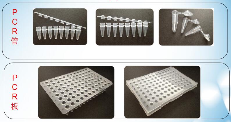 0.2ml透明12联排PCR管+盖（凸盖）超薄壁23-2084-1