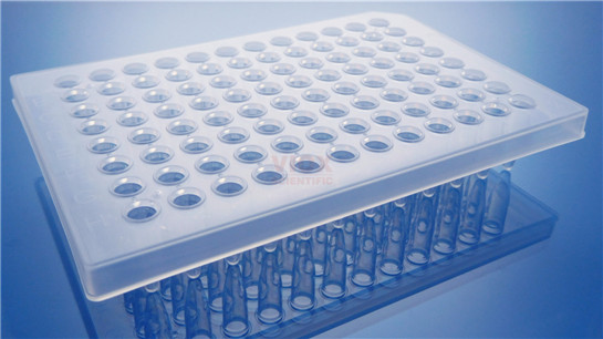 半裙边PCR板,透明VP1021-C