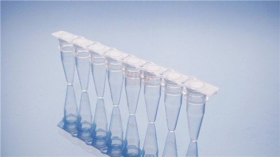 PCR八联排管用于荧光定量PCR检测V1082-C