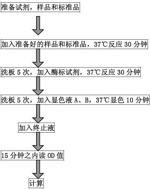 人蛋白C（Protein C）ELISA试剂盒免费代测BS-1061