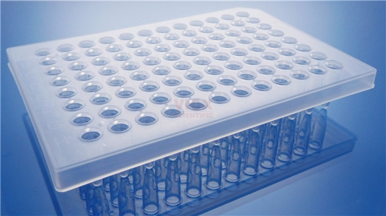 96孔PCR板0.2ml半裙边透明板10块/盒VP2011-C