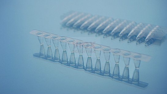 PCR十二联管0.1ml/0.2ml透明乳白PCR管V10122-C V10122-M