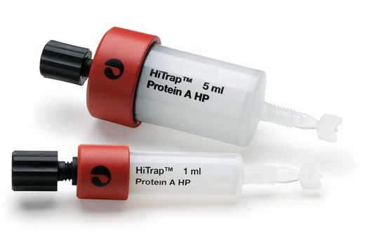 HiTrap Protein A HP, 1 x 5 ml