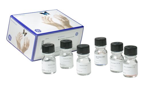 低分子量分子筛marker