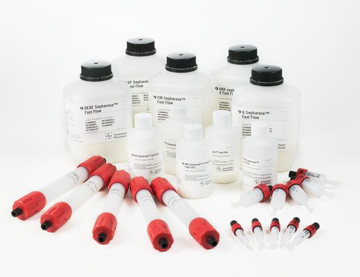 Q SEPHAROSE Fast Flow, 300 mL