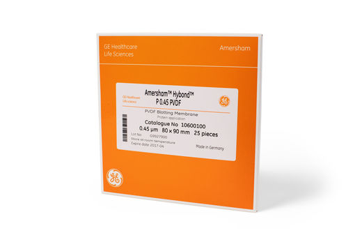 Amersham Protran 强化三明治0.45μm NC膜+ 3MM 层析滤纸 80mmx90mm 10+20/PK