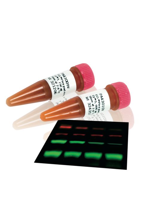ECL Plex 山羊抗小鼠 IgG-Cy3, 150ug