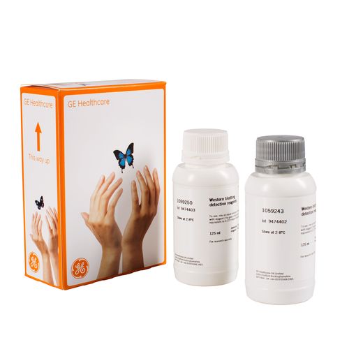 Amersham ECL蛋白免疫印迹检测试剂 150mL