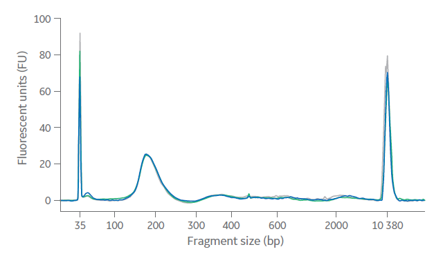 Sera-Xtracta Cell-Free DNA Kit
