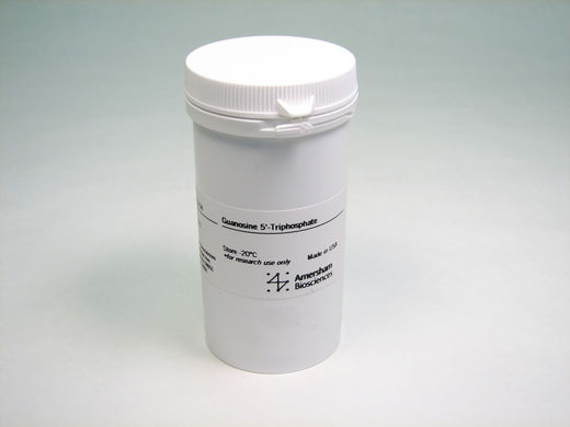 rNTP组, 100 mM 溶液(ATP, CTP, GTP, UTP)