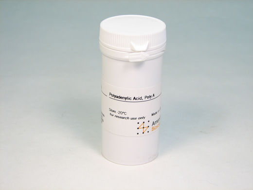 Poly(A)  500 mg