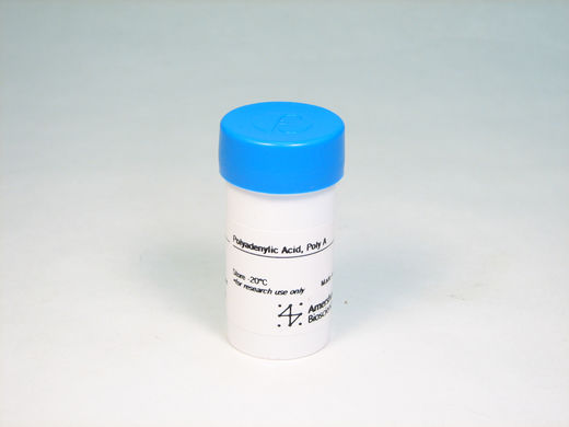 Poly(A)  100 mg