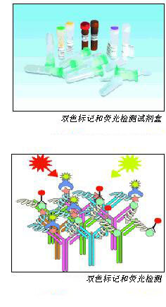 Whatman 双色标记和检测系统 10486085