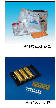 Whatman FAST Quant Cytokine定量试剂盒, 10486257, 10486031, 10486060, 10486063