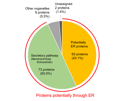 ER-Protein Capture Kit                              特异性标记、纯化ER驻留蛋白的试剂盒