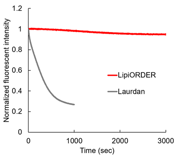 LipiORDER (Membrane Lipid Order Imaging Dye)                              可定量观察活细胞的膜相态！