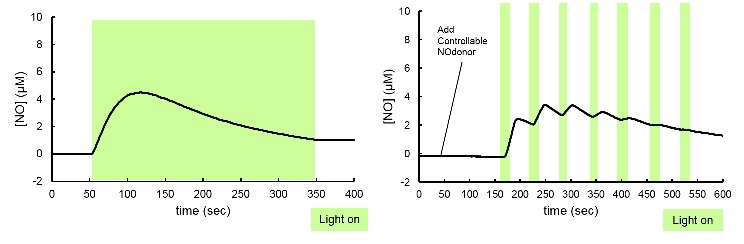 Controllable NOdonor                              在任意范围、时间通过可视光照射释放NO(Nitric oxide)的试剂