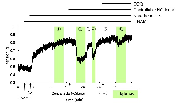 Controllable NOdonor                              在任意范围、时间通过可视光照射释放NO(Nitric oxide)的试剂