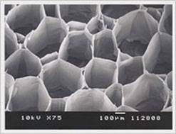 去端肽胶原，蜂窝海绵                              Atelocollagen  Honeycomb