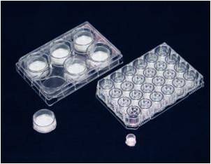 VECELL® 3D细胞培养板                              VECELL® 3D Cell Culture Plate