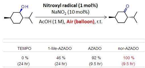 用于醇类氧化的超高活性有机催化剂nor-AZADO