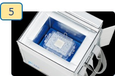 iP-TEC® 培养皿·微孔板用运输设备                              Secondary container PC-0.5