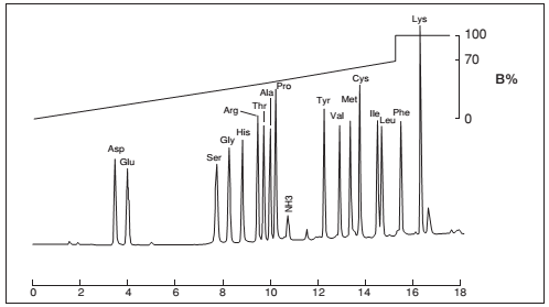 氨基酸分析柱                              Wakopak Wakosil-PTC