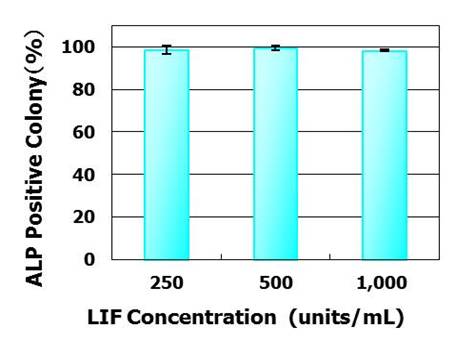 mESF 小鼠ES细胞培养基础培养基 / mESF 添加物                              mESF Basal Medium/mESF Supplement Set(×100)