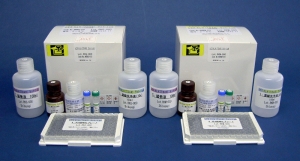 LBIS® 血蓝蛋白（KLH）（T细胞依赖性抗原）  大鼠免疫球蛋白G（IgG）ELISA试剂盒                              LBIS® KLH(TDAR) Rat-IgG ELISA Kit
