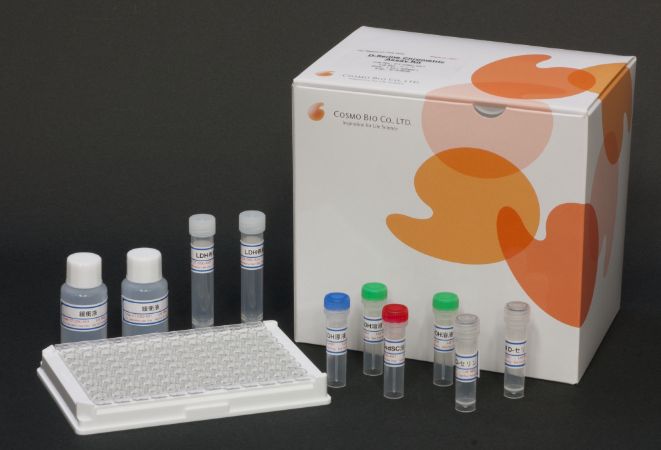 D- 丝氨酸比色法检测试剂盒                              D-Serine Colorimetric Assay Kit