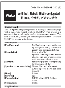 兔源Iba1抗体，有标签                              Anti Iba1, Rabbit (for Immunocytochemistry)