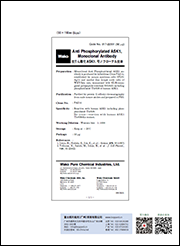 抗磷酸化ASK1，单克隆抗体                              Anti Phosphorylated ASK1, Monoclonal   Antibody