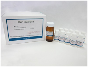 抗酒石酸酸性磷酸酶 TRAP 染色试剂盒                              TRAP Staining Kit