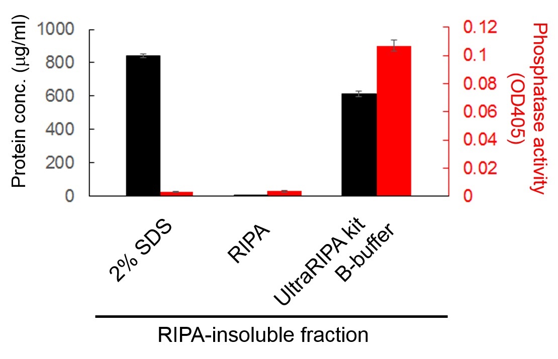 UltraRIPA 脂筏提取缓冲液套装                              UltraRIPA kit for Lipid Raft