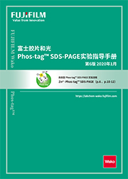 Phos-tag™ 生物素                              Phos-tag™ Biotin