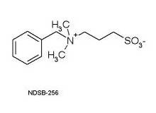 非表面活性剂型磺基甜菜碱                              NDSB (Non-detergent Sulfobetain)