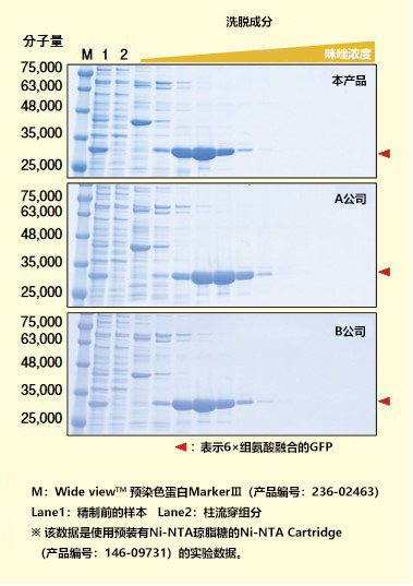 Ni-NTA琼脂糖                              用于蛋白提取