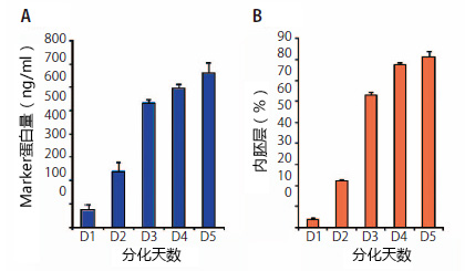 内胚层监测试剂盒                              ES/iPS Differentiation Monitoring Kit–Human Endoderm