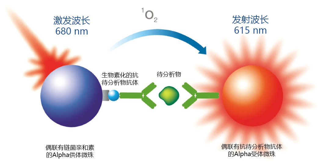 生物治疗中残留Protein A的检测方法的比较