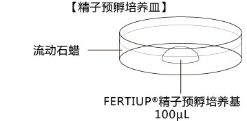 小鼠生殖工程学技术——9CARD以外的方法冻存的精子进行体外受精