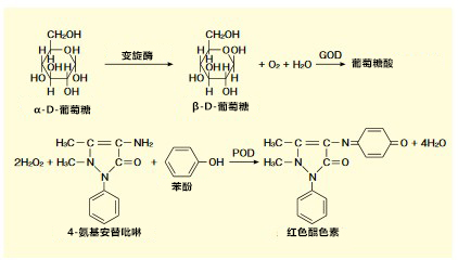 α-葡萄糖苷酶活性抑制检测试剂盒的开发
