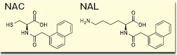 皮肤致敏试验替代法ADRA应用实例：