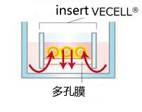 VECELL® 3D Cell Culture Plate【本活动已结束】