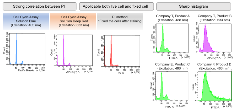Cell Cycle Assay Solution Blue试剂货号：C549