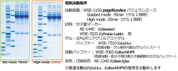 PageRunAce   パジェラン Ace | 8x9cmゲル | PAGE スラブ電気泳動槽 | アトー製品情報 | ATTO