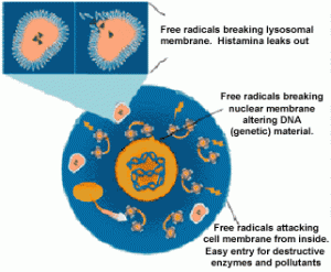晚期氧化蛋白产物（AOPP）分析—蛋白氧化损伤检测