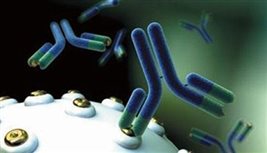 Immundiagnostik抗体药血药浓度与药效检测试剂盒