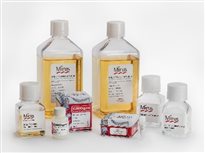 新品| Mirus升级版CHO细胞高滴度瞬转表达系统