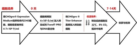 Mirus CHO细胞高滴度瞬转表达系统助力新冠肺炎疫苗和单抗研发！